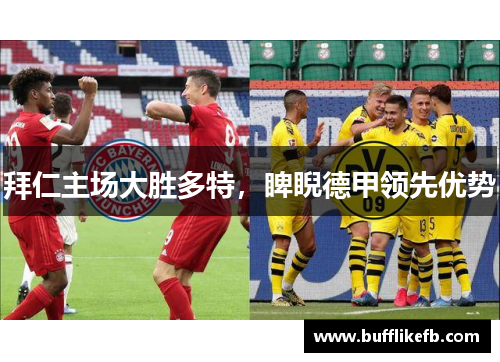 拜仁主场大胜多特，睥睨德甲领先优势