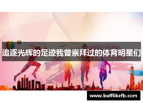 追逐光辉的足迹我曾崇拜过的体育明星们